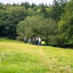 2022 foraging course UK