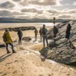 Beach foraging course UK