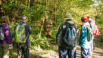 Foraging courses in North Wales