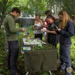 Foraging training for outdoor leaders UK