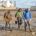 coastal foraging for chefs uk