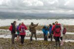 Professional Coastal Foraging Course North Wales 2019-21